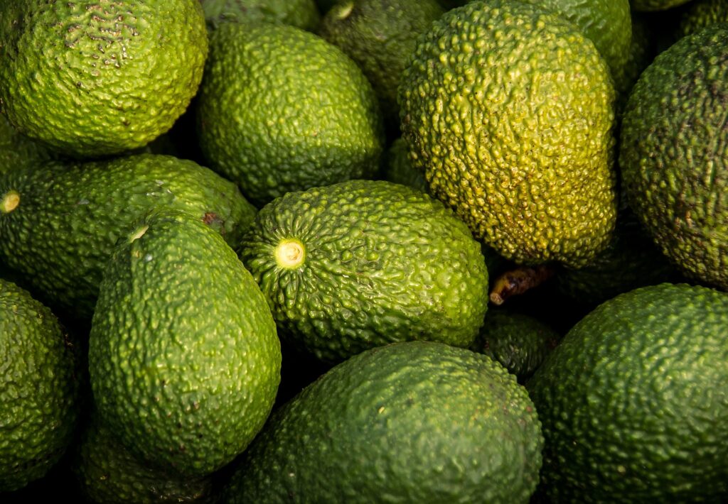 sandid-avocados-882635_1920