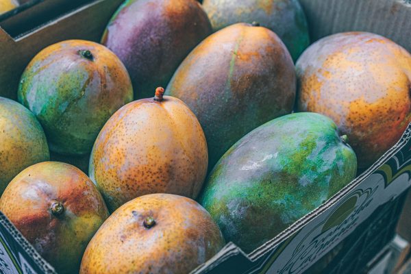 antonio_cansino-mangoes-5632032_1920