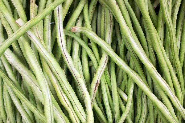 publicdomainpictures-french-bean-basket-214266_1920