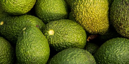 sandid-avocados-882635_1920